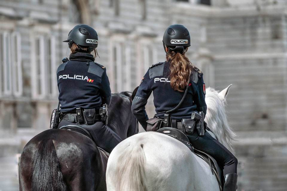 Cuerpo de seguridad 